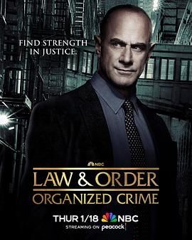 法律与秩序：组织犯罪第四季 第05集