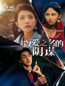 以爱之名的阴谋 第1-20集