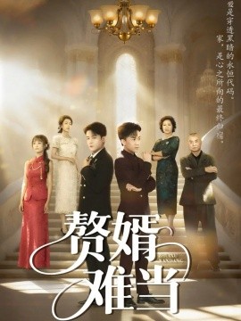 婿业难成 赘婿难当(全集)