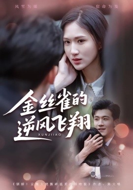 金丝雀的逆风飞翔(全集)