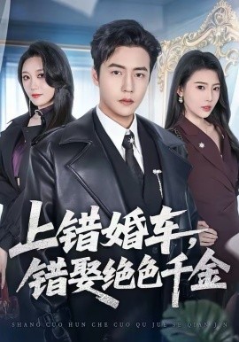 上错婚车，错娶绝色千金(全集)