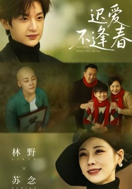 迟爱不逢春(全集)