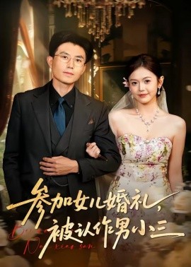 参加女儿婚礼，被认作男小三(全集)